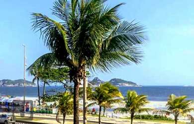 Imagem 2: Apartamento em Barra da Tijuca