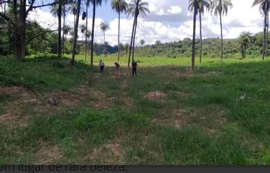 Imagem 5: Lindas fazendinhas de terra e cultura a partir de 20 mil m próximo parada do elefante
