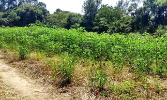 Imagem 4: Lote p/ chácara, escriturado e registrado, R$ 125 mil, Cosmópolis, SP