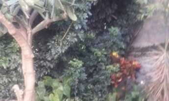 Imagem 3: Casa com 2 dormitórios à venda, 60 m² por R$ 400.000,00 - Vila Formosa - São Paulo/SP