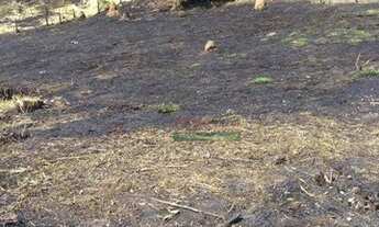 Imagem 5: Chácara com 3 dormitórios à venda, 2000 m² por R$ 250.000,00 - Santa Cecilia II - São José