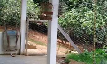 Imagem 4: Ch0042 - Chacara Bairro Bonsucesso