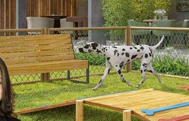 Imagem 6: Alvorada Boa Viagem