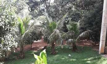 Imagem 7: Fazenda/Sítio/Chácara para venda com 398 metros quadrados com 3 quartos em Centro - Brumad