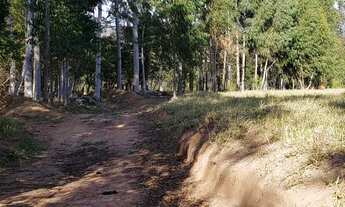 Imagem: Sítio para venda tem 52000 metros quadrados