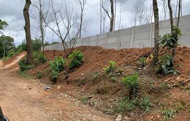 Imagem 7: Melhor terreno no interio