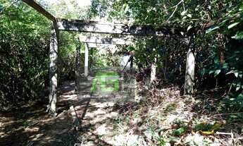 Imagem 2: Terreno para venda no quitandinha lote 37 parte dois de três