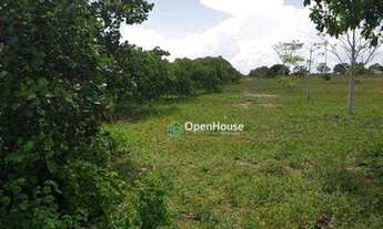 Imagem 5: Sítio Rural à venda, Centro, Ceará-Mirim - SI0001