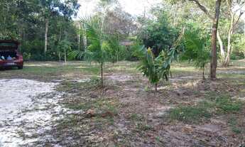 Imagem 3: Sítio com igarapé