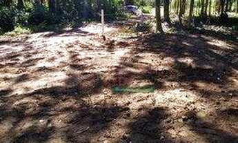 Imagem 5: Terreno à venda, 503 m² por R$ 90.000,00 - Ubatumirim - Ubatuba/SP