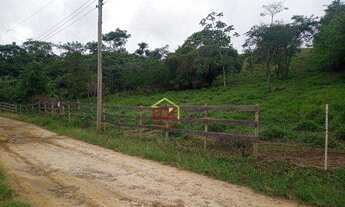 Imagem 3: Área à venda, 3950 m² por R$ 100.000,00 - Roseira - Roseira/SP