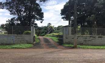 Imagem 4: RIBEIRãO PRETO - Padrão - Vila Virgínia