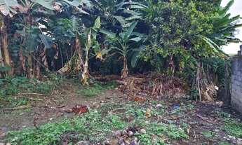 Imagem 6: Vendo uma coisa na Vila Tibiri