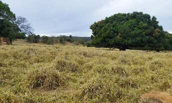 Imagem 3: Chácara 12 Alqueires em Pirenópolis Goiás
