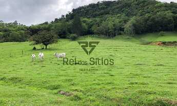 Imagem 6: Sítio 1 Quarto Rodeio - SC - Consulte