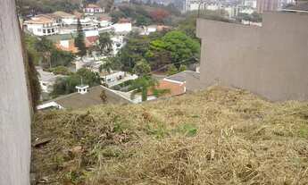 Imagem 4: São Paulo - Casa Comercial - JARDIM SÃO BENTO