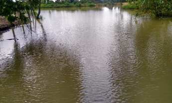 Imagem: Fazenda 4 alqueires uruana Goiás
