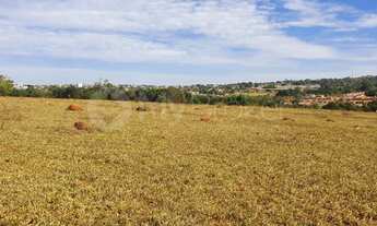 Imagem: Trindade - Terreno Padrão - Área Rural