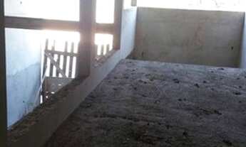 Imagem 7: Cajuru (Sorocaba