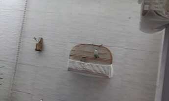 Imagem 6: Sobrado residencial à venda, Vila Rio Branco, São Paulo