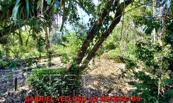 Imagem 4: Lote de 505 m² dentro do condomínio da praia do Itamambuca, 400m do da praia