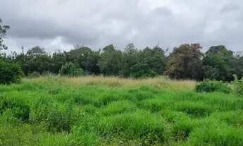 Imagem 6: Velleda oferece sítio 10 ha a 600 metros do asfalto, na Águas Claras