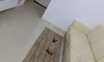 Imagem 6: Apartamento com 3 dormitórios à venda, 86 m² por R$ 960.000 - Vila Mariana - São Paulo/SP