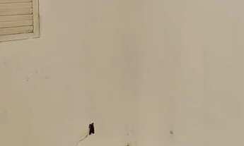 Imagem 5: CASA NO PARATIBE 500.00