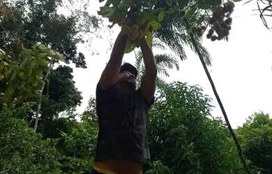 Imagem 2: Vendo sítio na BR 174,km 86