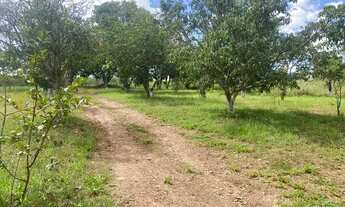 Imagem 6: Linda chácara em Aguas Lindas com Córrego passando atrás 5 mil ²