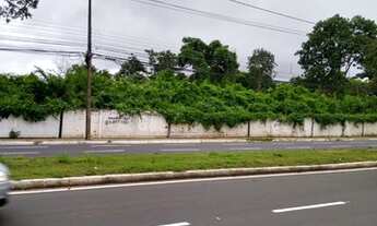 Imagem 6: Área para aluguel com 20000 metros na Av. Zequinha Freire, ao lado do Mix Atacarejo, Tere