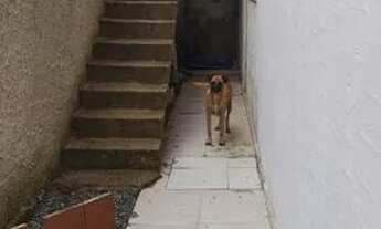 Imagem 7: SOBRADO COM 236M3 EM UM TERRENO DE 190 M3 EXCELENTE LOCALIZAÇÃO COMERCIAL E RESIDENCIAL