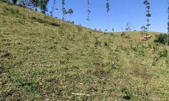 Imagem 4: TERRENO IDEAL PARA CASA DE VERANEIO, POSSUI 600m² E VISTA P/ LAGO