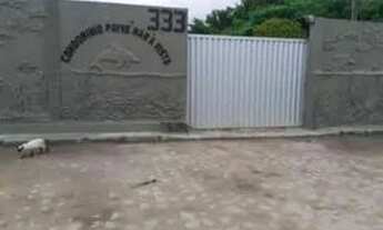 Imagem 2: Promoção Para FDS 350