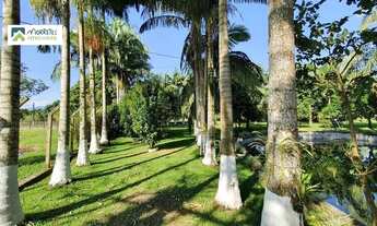 Imagem 6: Chácara à venda no bairro Barreiros - Morretes/PR