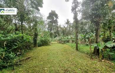 Imagem 3: Chácara à venda no bairro Vila das Palmeiras - Morretes/PR
