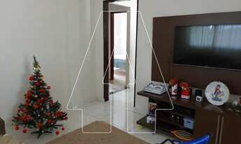 Imagem 7: Araçatuba - Casa - Petit-Trianon