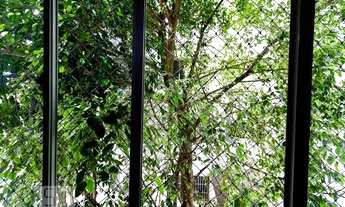 Imagem 7: Apartamento para Aluguel - Santo Amaro , 2 Quartos, 60 m2