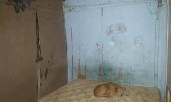 Imagem 3: Vende - se barraco já existe a 10 anos