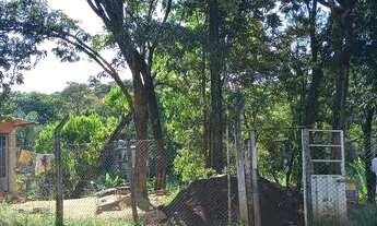 Imagem 2: Lote são José da Lapa