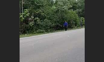 Imagem 3: Vendo sítio na BR 174,km 86