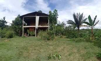 Imagem 6: Vendo sítio na BR 174,km 86