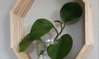 Imagem 4: Novo Casa com venda por R$40