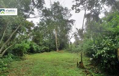 Imagem 4: Chácara à venda no bairro Vila das Palmeiras - Morretes/PR