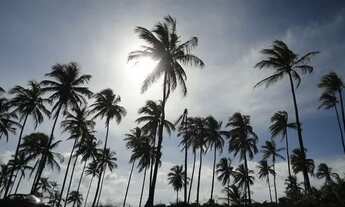 Imagem 6: TERRENOS em Ilhéus/BA - Praia do Norte