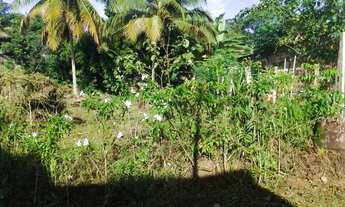 Imagem: Terreno em arembepe 300m2 plano