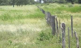 Imagem 2: Fazenda venda no Paraguai