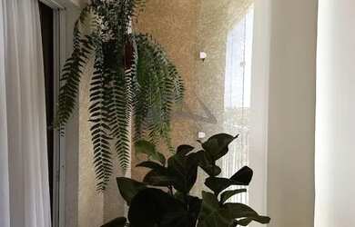 Imagem 4: Apartamento - Santa Terezinha - Paulínia