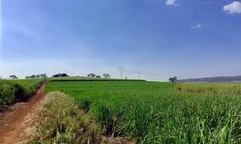 Imagem 3: Terreno para venda com 96800m² em Cravinhos