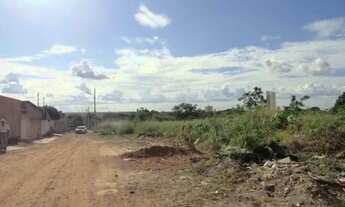 Imagem 5: Área na região central de V. Grande-MT